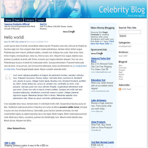 celebrities wordpress theme