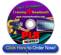Download Your Copy Of The PLR For Newbies Video Series Through Secure Servers Now!