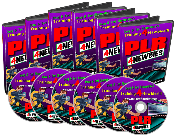 The PLR For Newbies Video Series