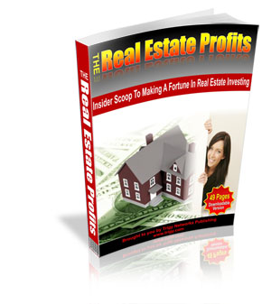 The Real Estate Profits The Real Estate Profits
