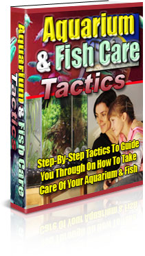 Aquarium & Fish Care Tactics