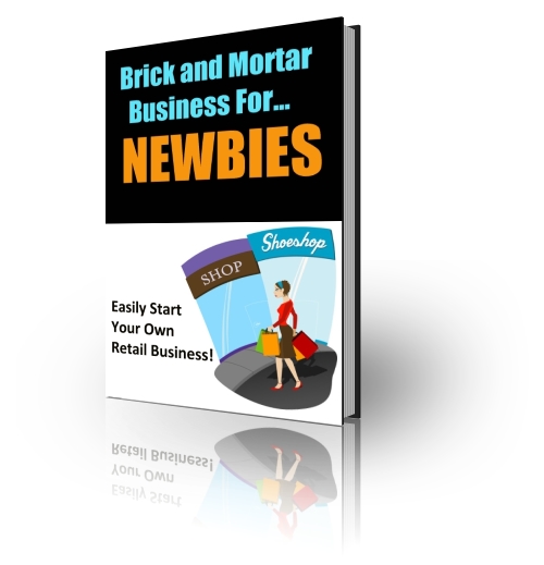 Brick and Mortar Business for Newbies ebook