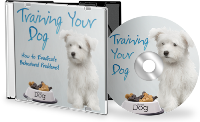 Training Your Dog Audio