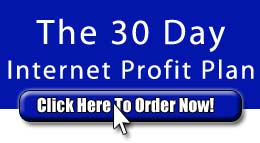 The 30 Day Internet Profit Plan